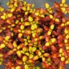 Waxwing™ Orange Mirror Bush -Garden Plants Store Coprosma Waxwing Orange 1