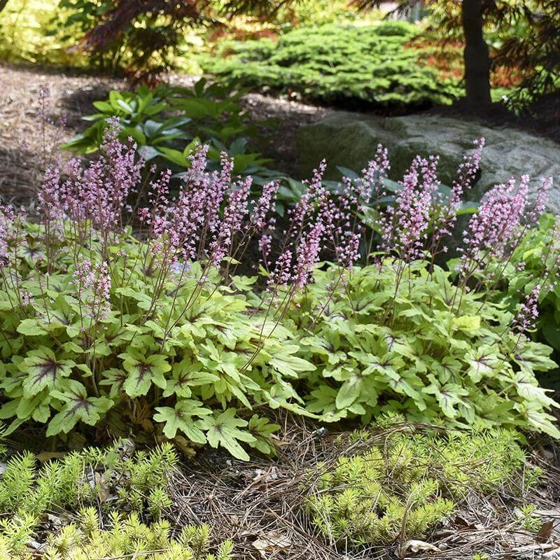 Fun And Games® 'Eye Spy' Foamy Bells 4 Fun And Games® 'Eye Spy' Foamy Bells - Image 2